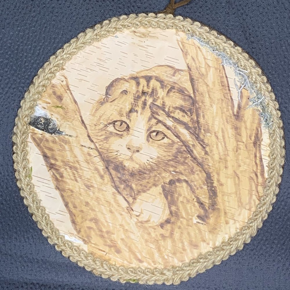 Handmade Birch Bark Pyrography Scottish Fold Cat Wall Art Wood Burning Rustic